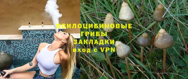 ГАЛЛЮЦИНОГЕННЫЕ ГРИБЫ Белокуриха