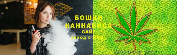 ГАЛЛЮЦИНОГЕННЫЕ ГРИБЫ Белокуриха