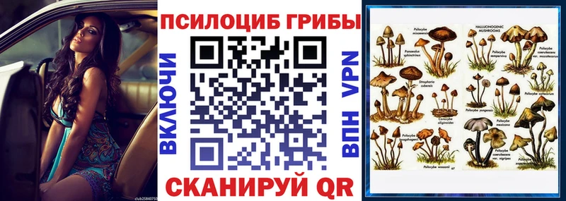 сколько стоит  Большой Камень  Галлюциногенные грибы мицелий 
